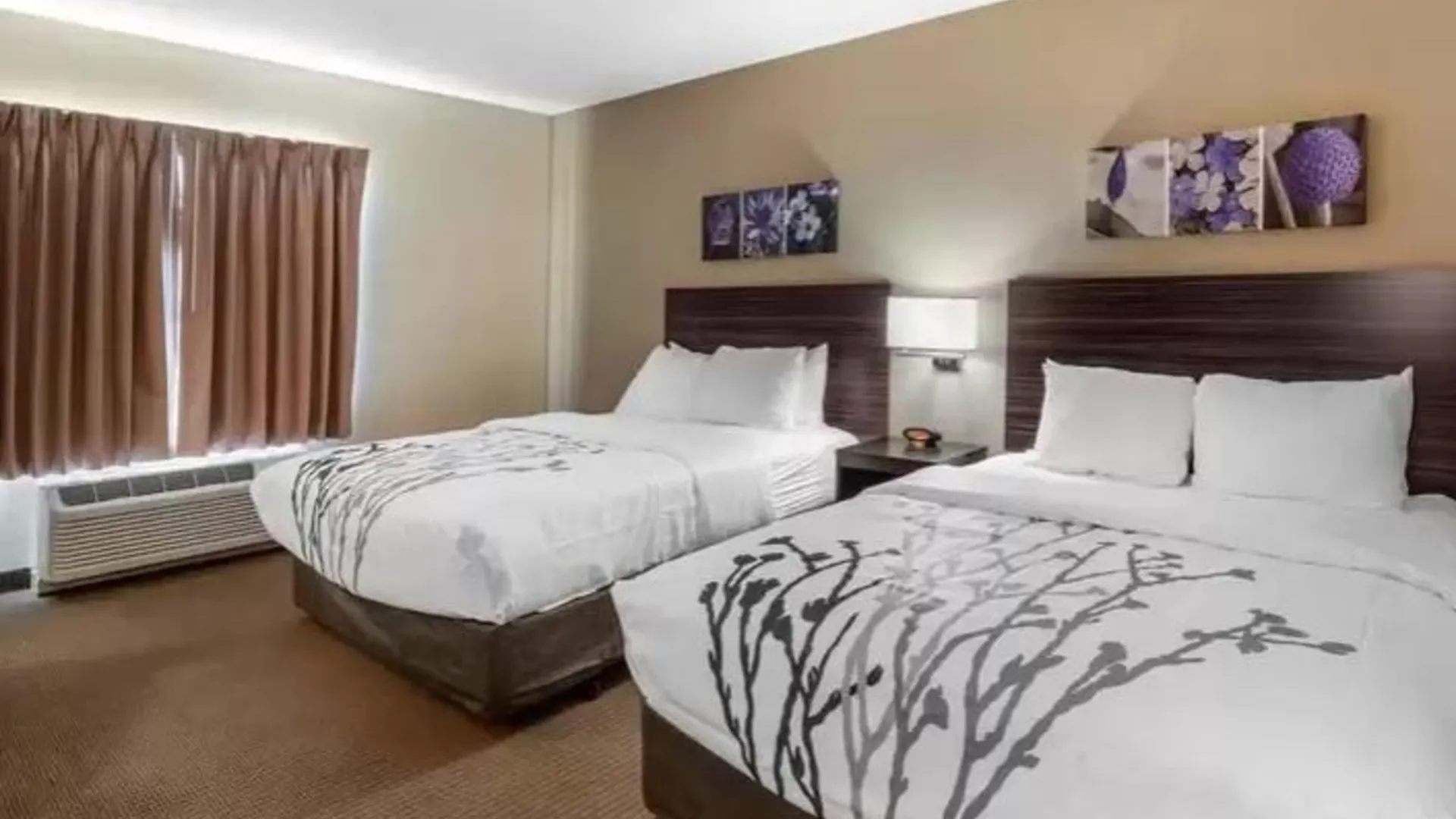 Sleep Inn & Suites Denver International Airport Hotel