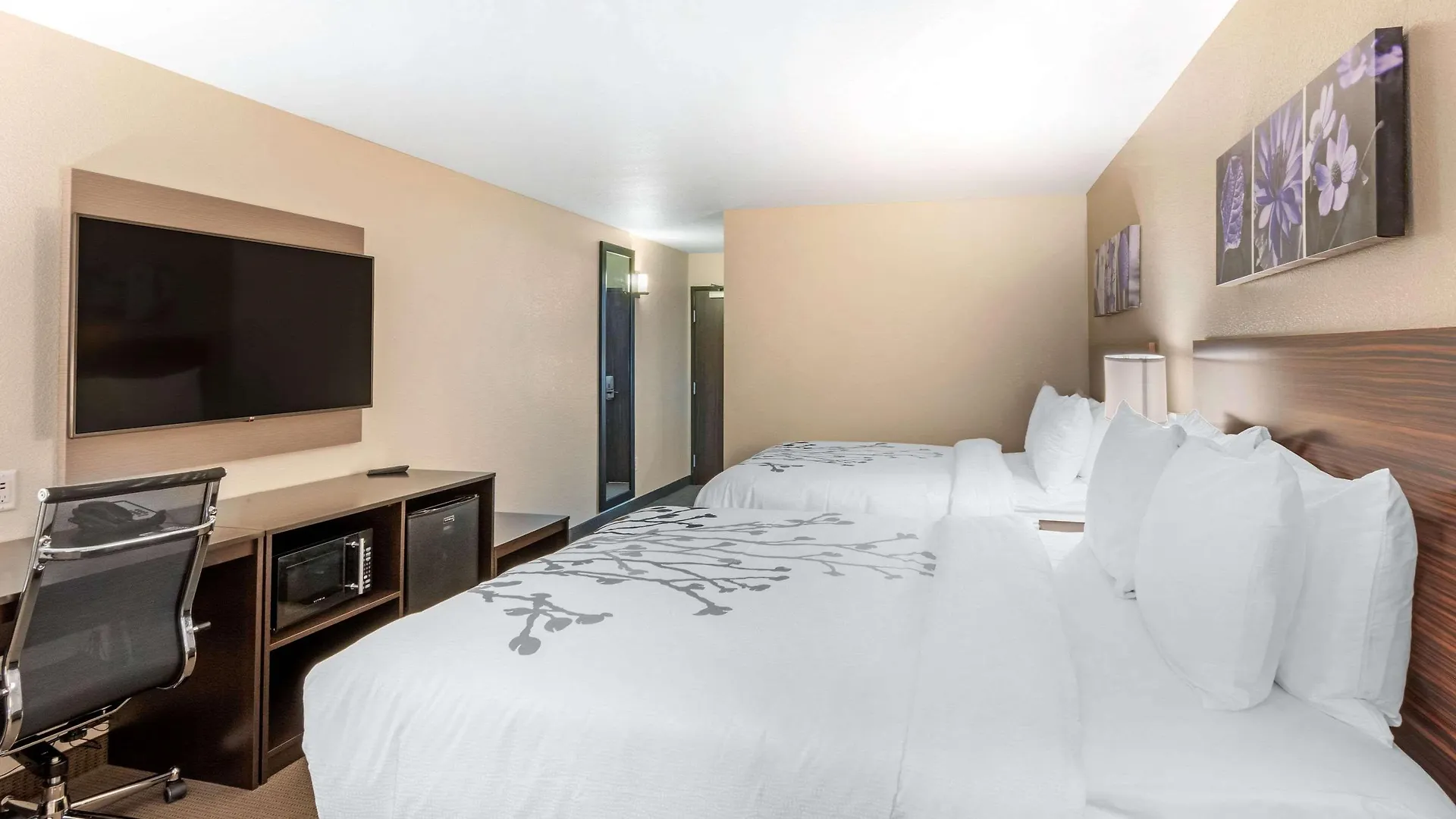 Sleep Inn & Suites Denver International Airport Hotel