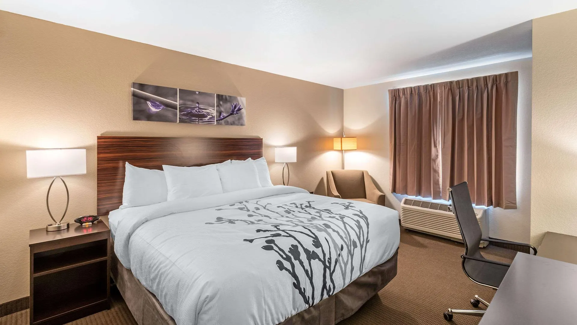 Sleep Inn & Suites Denver International Airport Hotel