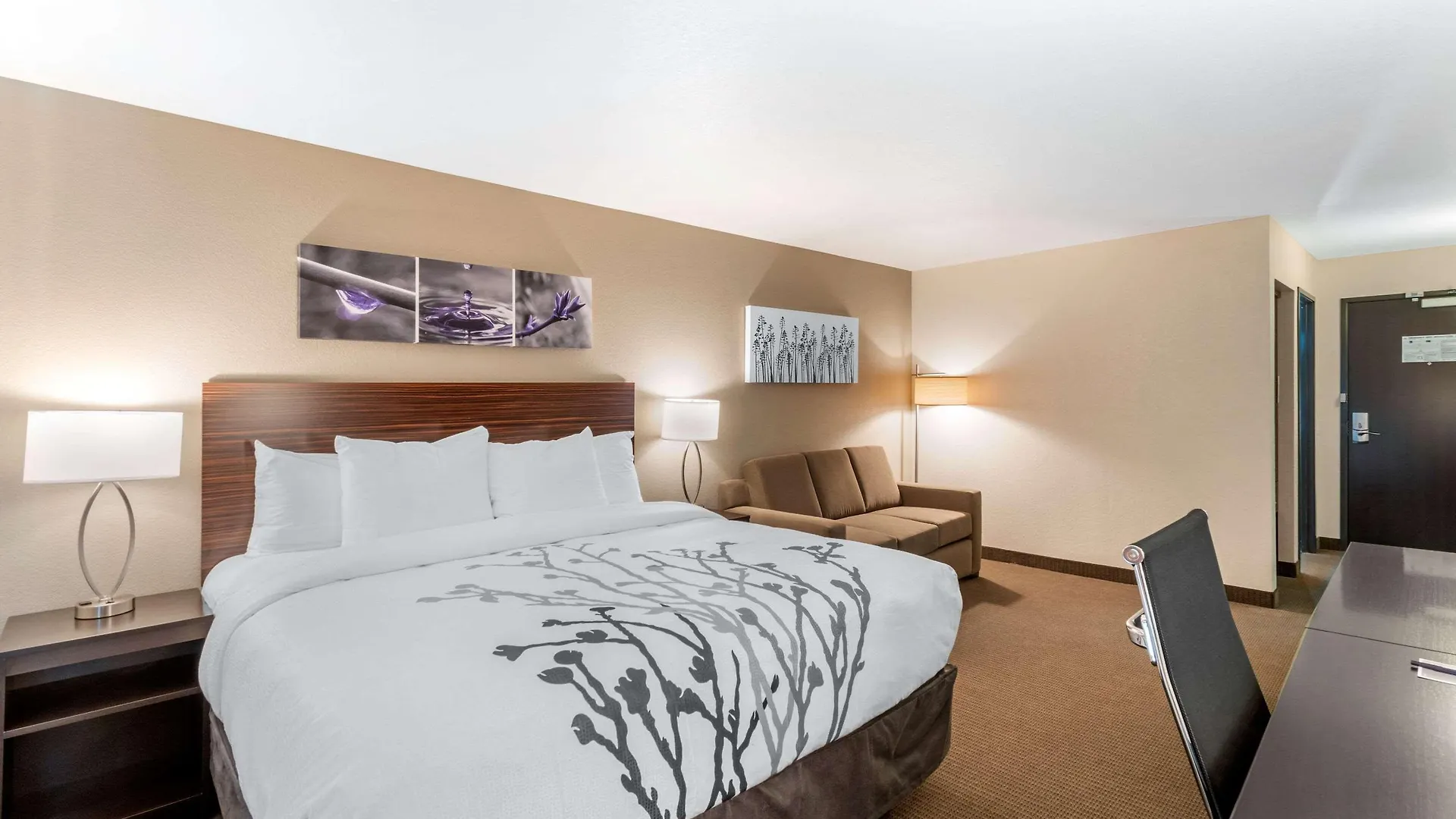 Sleep Inn & Suites Denver International Airport 2*,