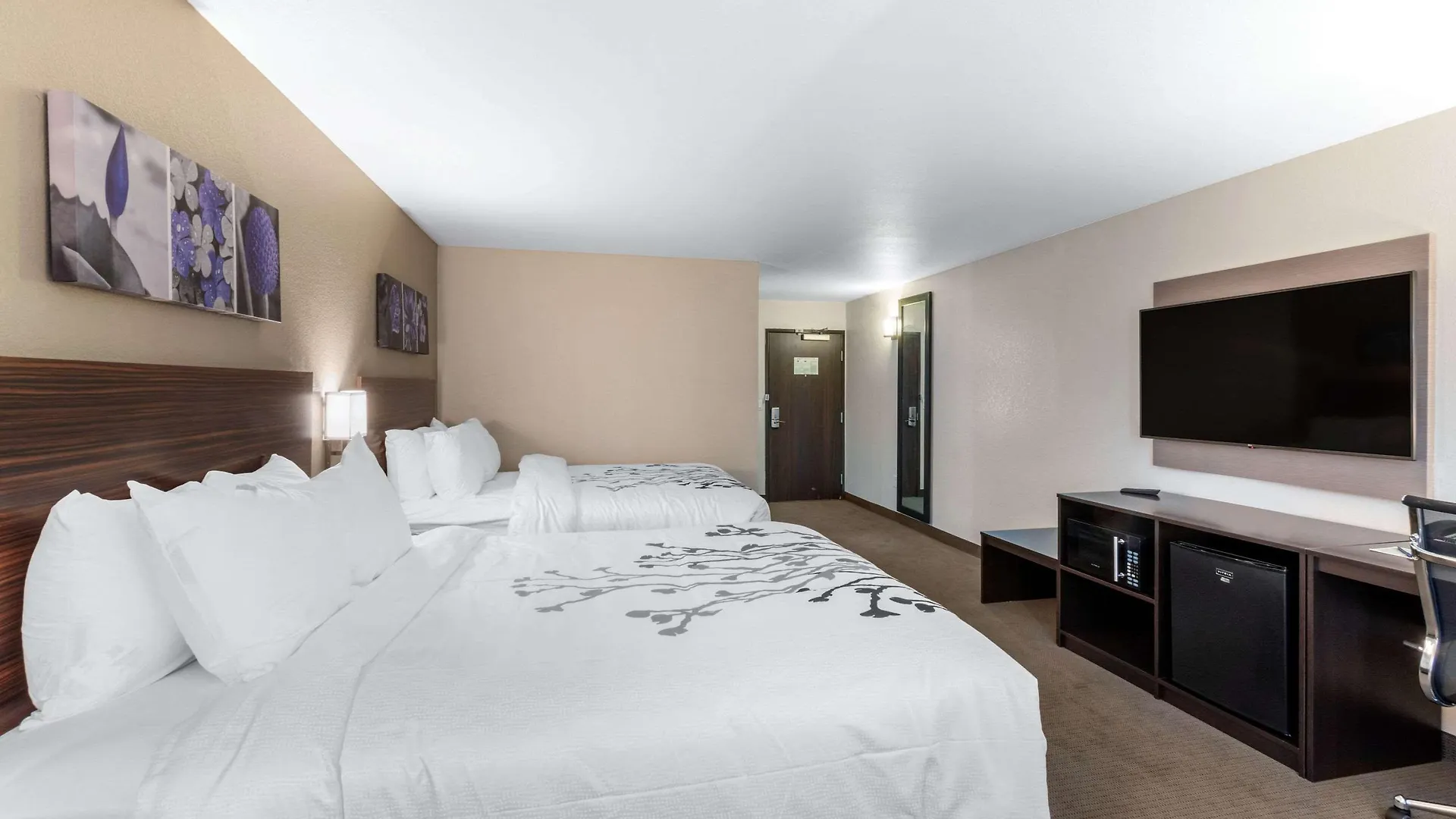 Sleep Inn & Suites Denver International Airport Hotel