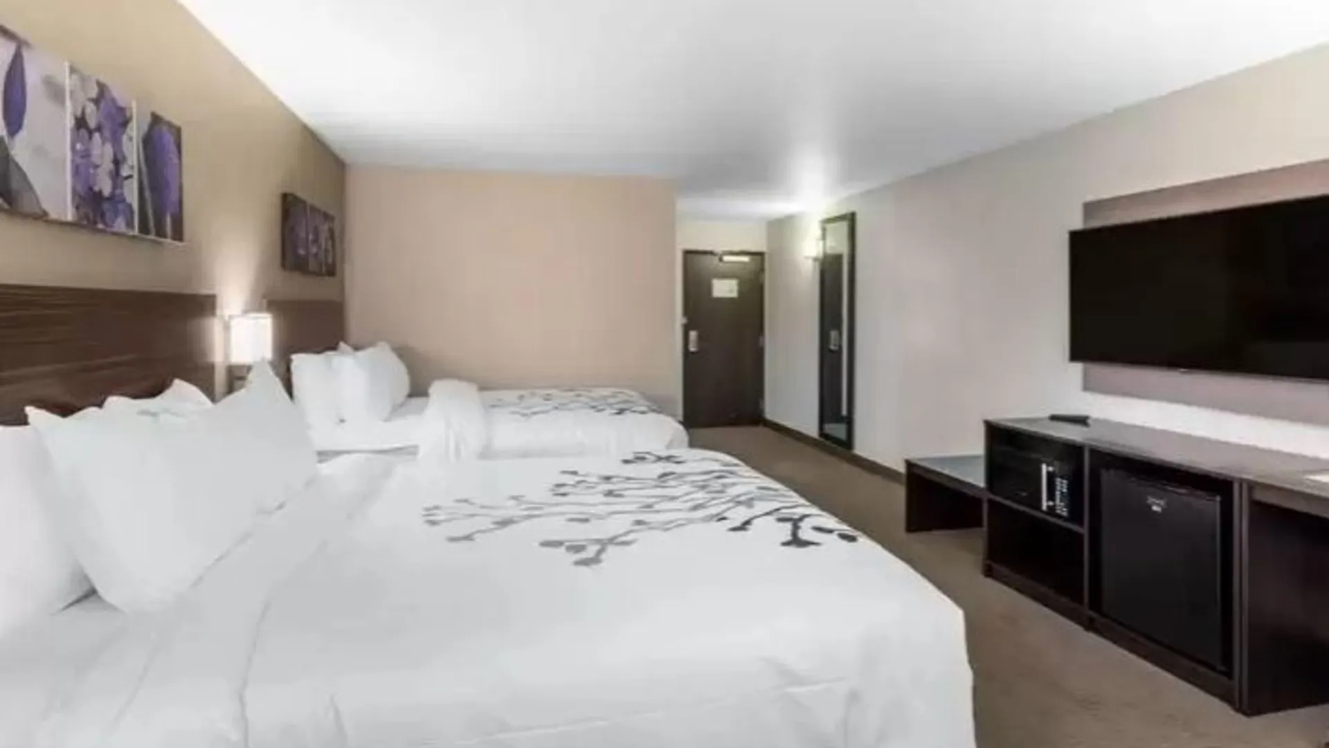 Sleep Inn & Suites Denver International Airport